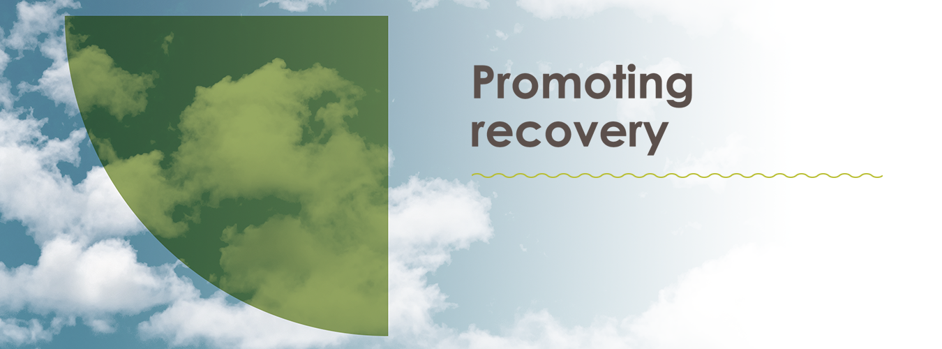Promoting Recovery