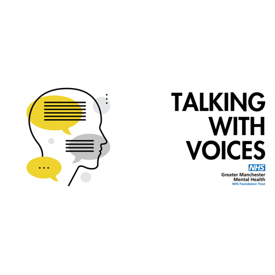 Talking With Voices